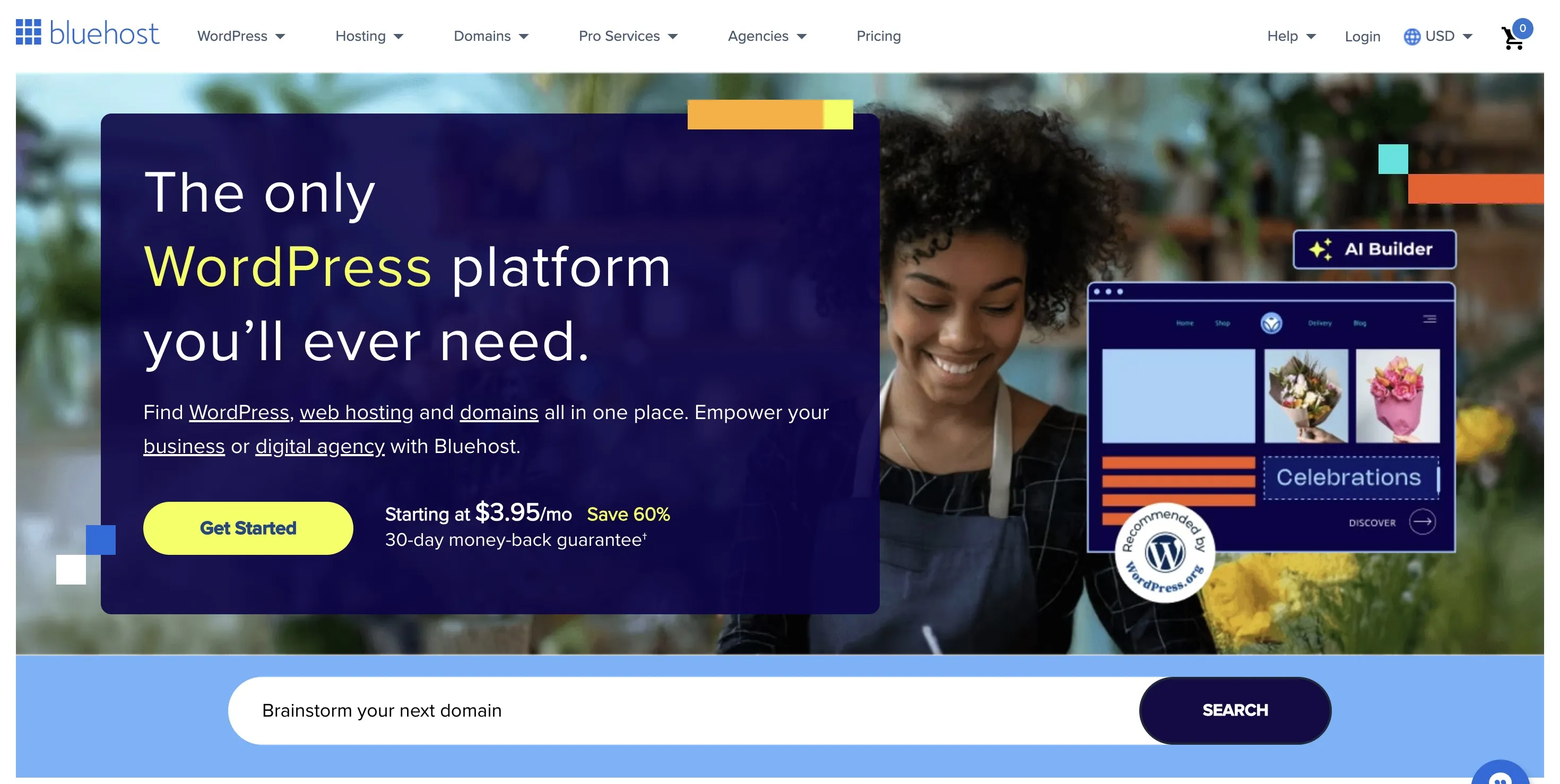 Bluehost banner