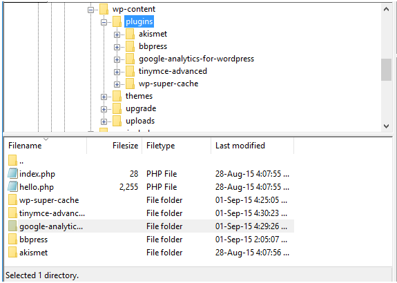 ftp plugin files