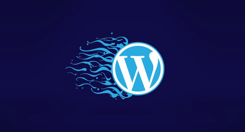 WordPress caching plugins