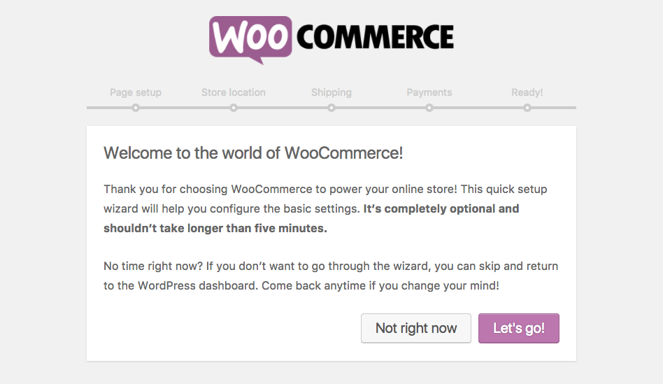 WordPress ecommerce site