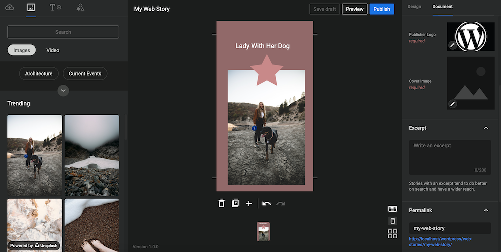 web stores