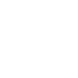 vector-4